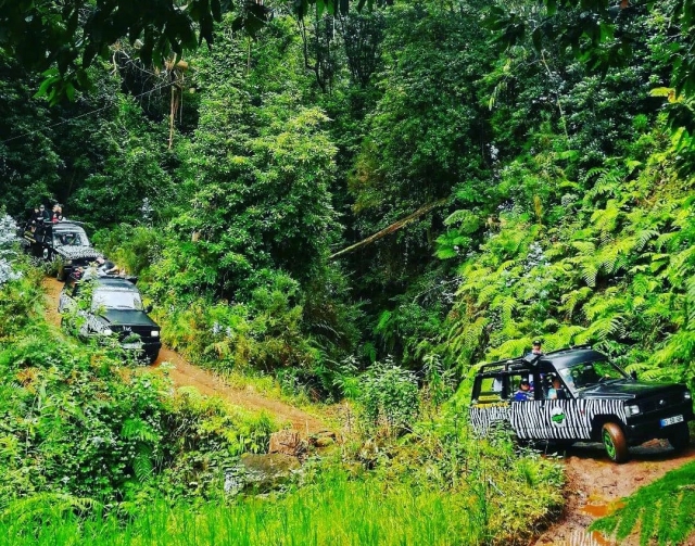 4x4 tour of the Northwest of Madeira (7h) Children