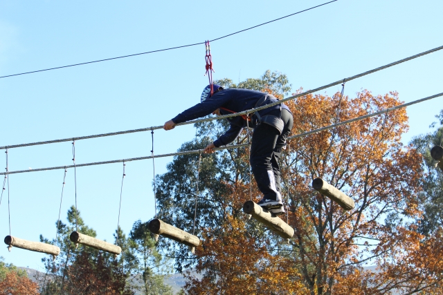 Ponte de Lima tree climbing and zip line circuit 90 min