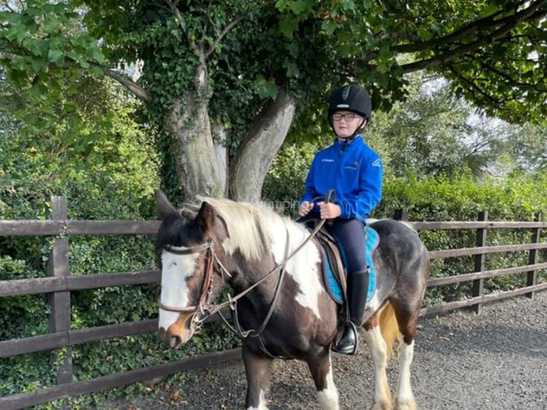 Forest Horse Trek in Londonderry for 45min from £48 Yumping.co.uk