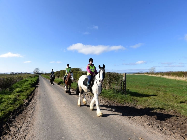 Horse Riding Trek in Londonderry for 1h15min from £65 Yumping.co.uk