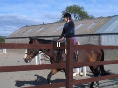 Group Horse Riding Lessons Londonderry