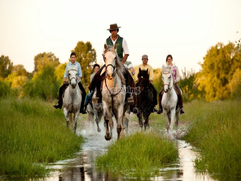 Redlands Equestrian, prices and bookings 2024