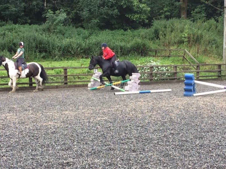 Dam Top Riding Centre, prices and bookings 2024