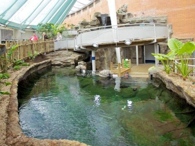 Bristol Aquarium, prices and bookings 2024