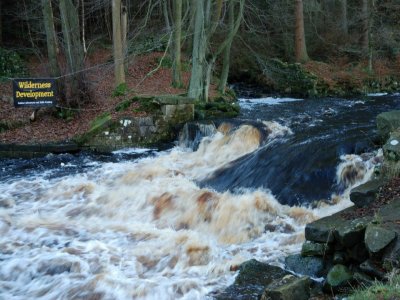 White Water Kayak Taster Session in Bury