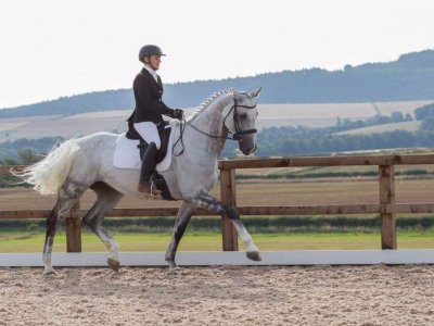 Appin Equestrian Centre