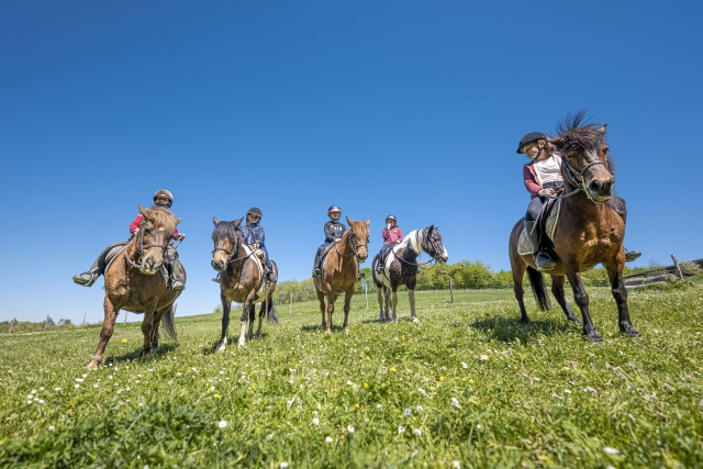 Pony Routes France