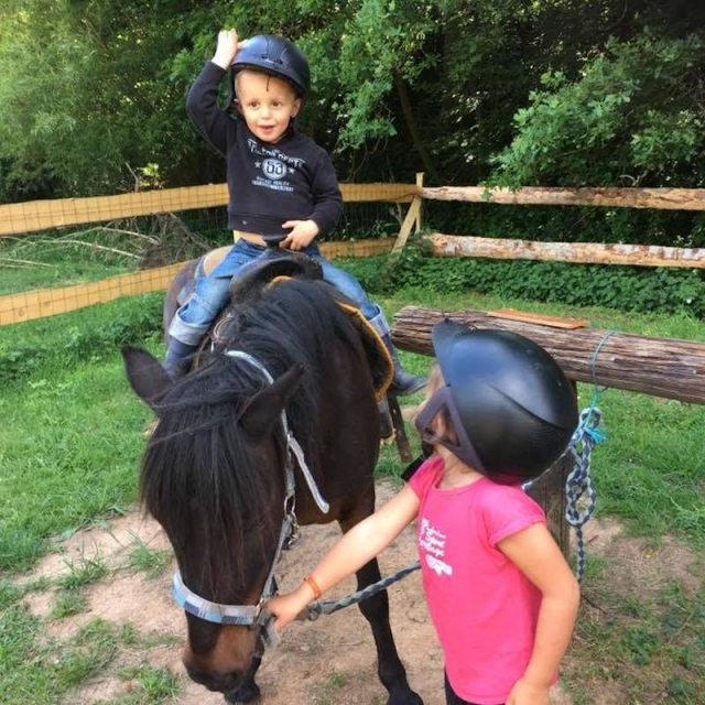 Pony ride in hand for children 30 min in Maringes