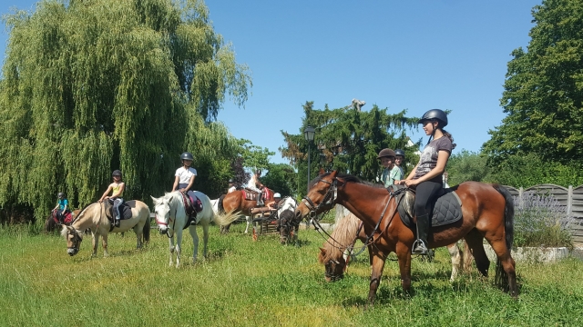 Horseback riding in the Parc du Gâtinais - 2 hours