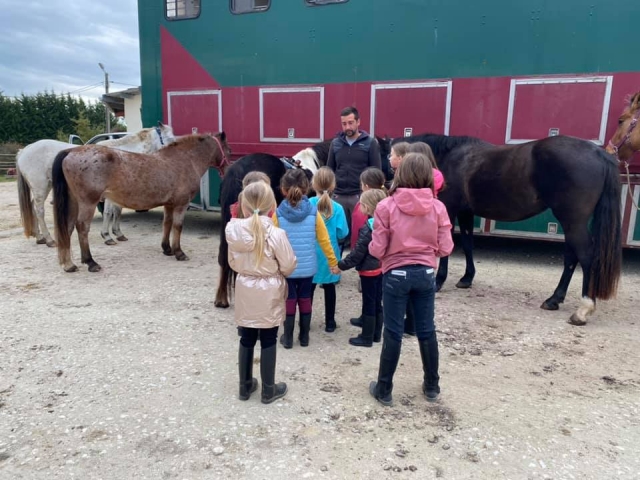 Pony ride in hand 30min in Berson