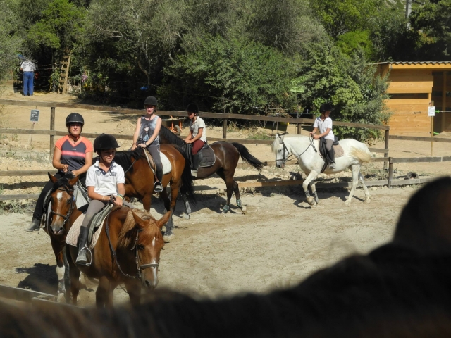 Pony ride in the Pic de l’Étoile 30 min
