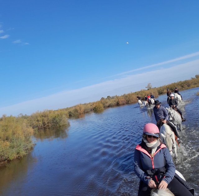 Private horseback ride for experienced riders - Camargue - 1h30
