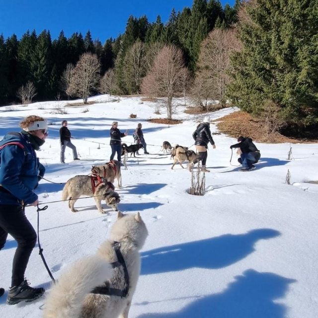 Cani-hike in the Roc d’Enfer Massif - 2h