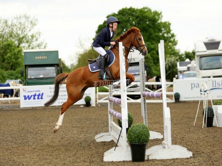 Summerhouse Equestrian Centre, prices and bookings 2024