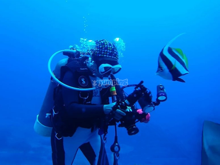 Digital Underwater Photography Course Kent 2 Days from £90 Yumping.co.uk