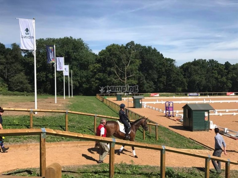 Wellington Riding, prices and bookings 2024