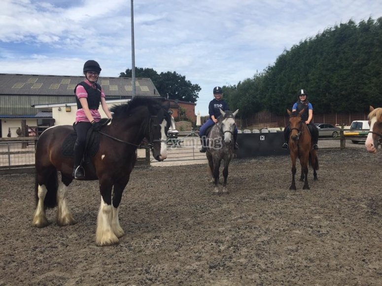 Oakhanger Riding & Pony Club Centre, prices and bookings 2024