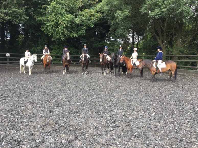 Beoley Equestrian Centre, prices and bookings 2024