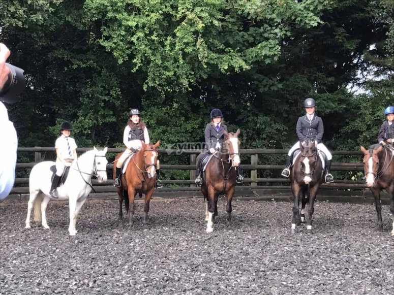 Beoley Equestrian Centre, prices and bookings 2024