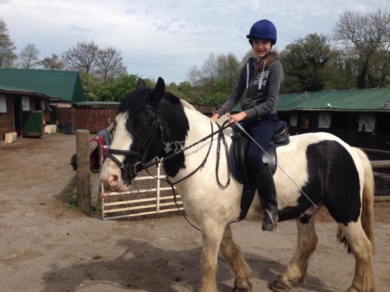 Beoley Equestrian Centre, prices and bookings 2024