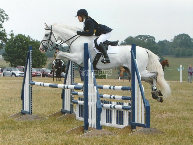 Park View Equestrian Centre, prices and bookings 2024