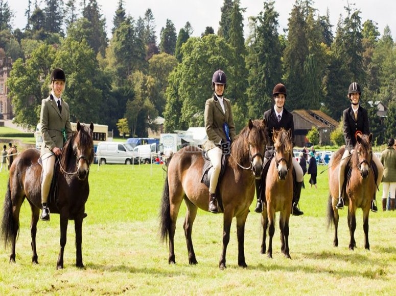 Edinburgh University's Exmoor Pony Trekking Society, prices and