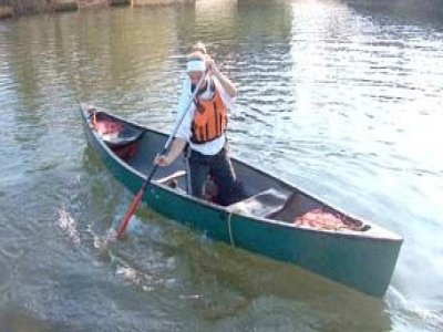 guided canoe tour on the river stort in essex - experience