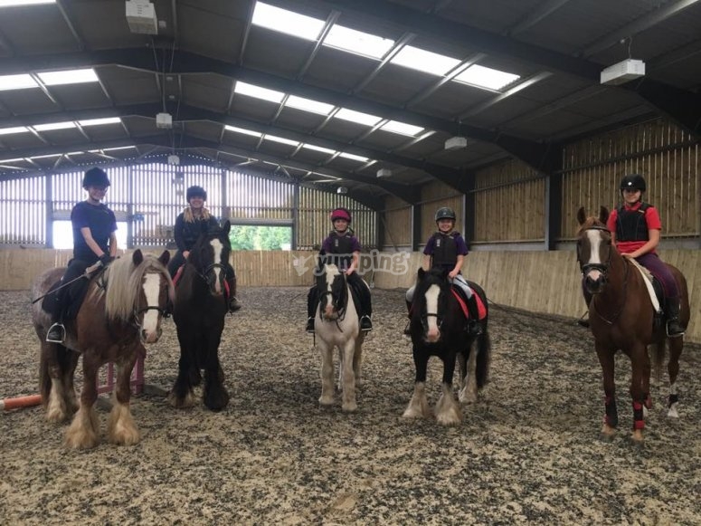 Barton Field Farm Equestrian Centre, prices and bookings 2024