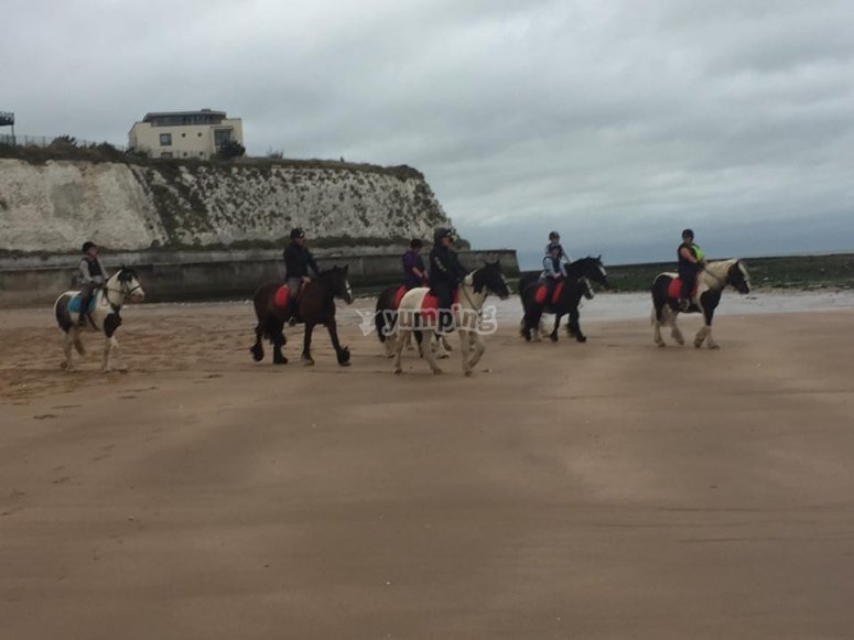 Barton Field Farm Equestrian Centre, prices and bookings 2024