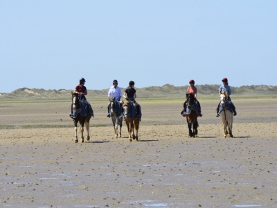 Horseback riding along the beach Wicklow