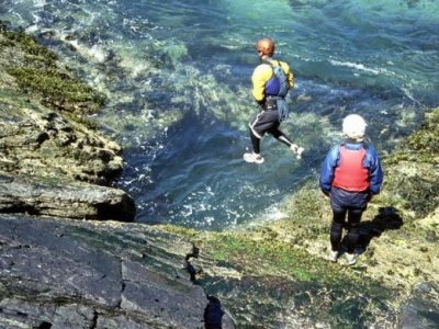 Shaggy Sheep Wales Coasteering