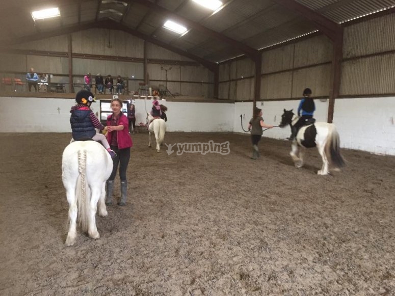 White Horse Equestrian Centre, prices and bookings 2024