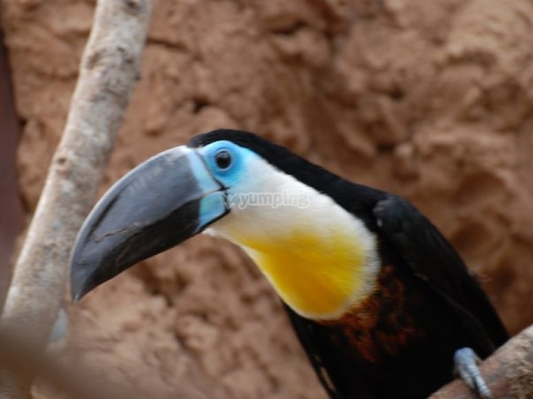 Amazon World Zoo Park, prices and reservations 2023