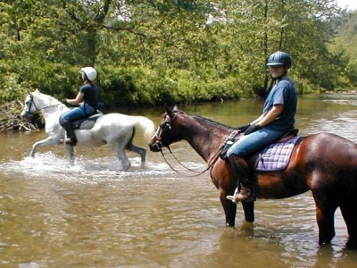 Paseo a caballo de 2 horas por Laugharne