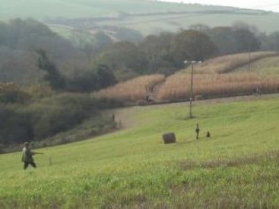 Bird Shooting