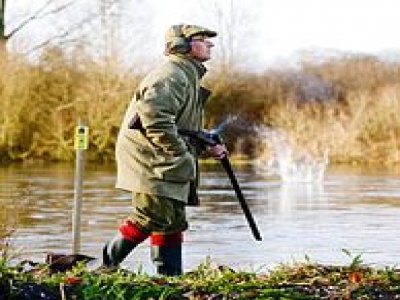 Shavesgreen Hunting