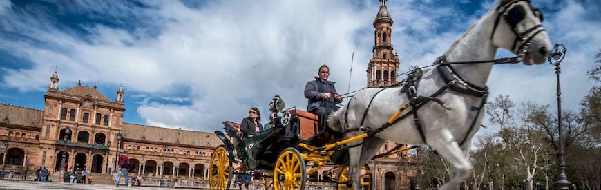 Offers of Carriage Riding Tarragona