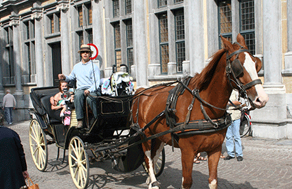 Carriage Riding