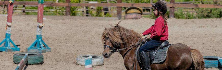 Offers of Horse Riding Lessons Valencia