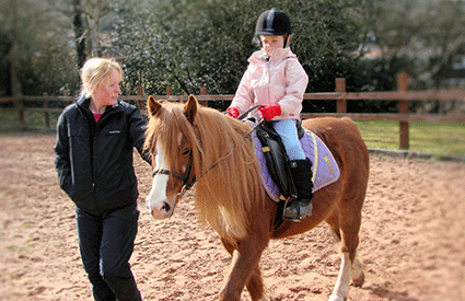 Horse Riding Lessons