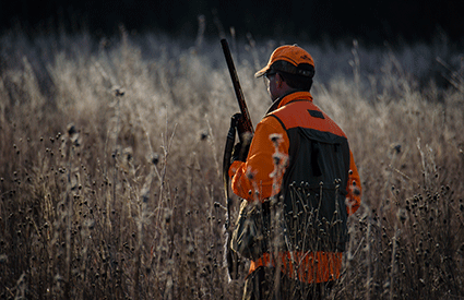 Hunting Hertfordshire