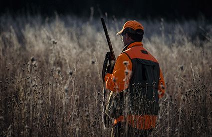 Hunting in United Kingdom