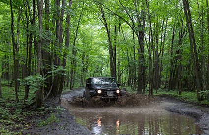 4x4 Tours in United Kingdom