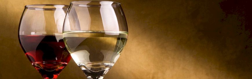 Offers of Winery Tours Jaén