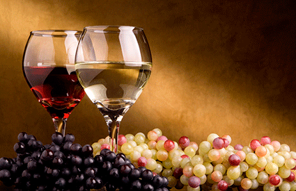 Winery Tours