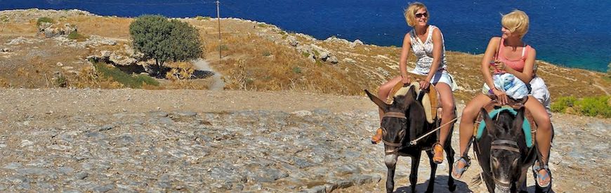 Offers of Donkey Riding Tarragona
