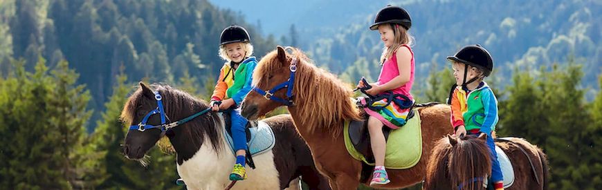 Offers of Horse Riding Camps Viella
