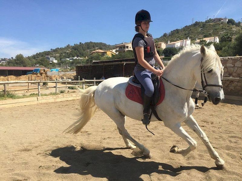 Become a great rider Become a great rider