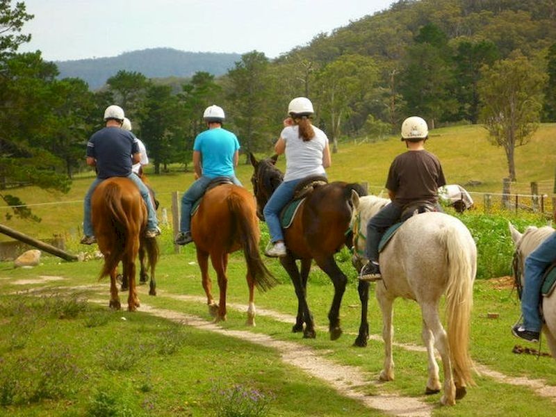 Gain experience to carry out the best routes Gain experience to carry out the best routes