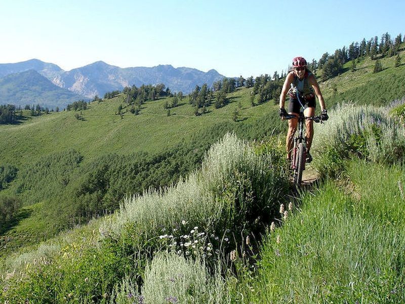 Book a bike route and leave yours at home Book a bike route and leave yours at home
